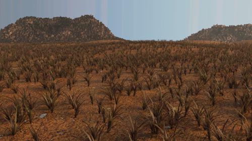 Realistic Desert Scene preview image